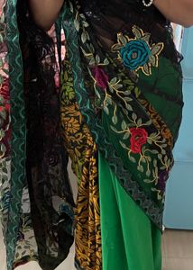 Floral Embroidered Saree