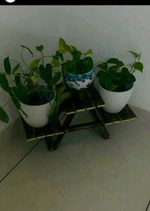 Wooden Multipurpose Showpiece