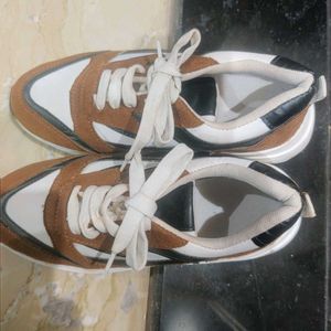 Basic Brown Daily Wear Shoes Comfortable