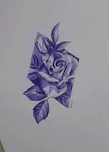 Classy Rose Pen Sketch HandMade.