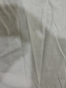 Zara Organza Sleeves Top