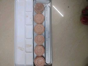 Bridal Foundation Palette