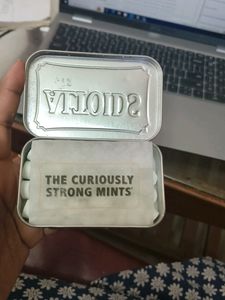 Altoids Mints Wintergreen