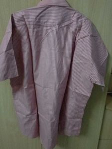 Half Sleeve Pure Cotton Shirt