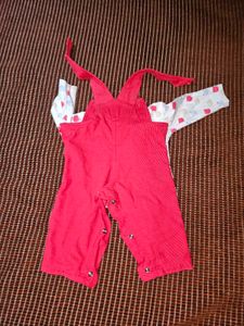 Cute Little Bear Outfit