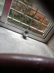 Jbl Speaker