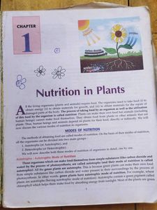 Lakshmi Singh Science  Class 7