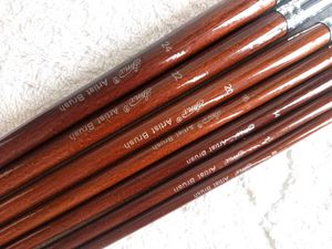 Artist Brushes - Set of 7