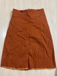 Light Brown high waist knee length skirt