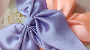 Hair Bow Clip (Combo Of 2)