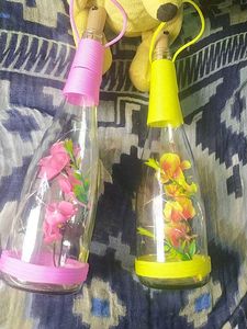 Decorative light Bottles