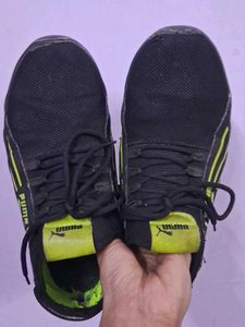 Branded Puma Black Sneakers