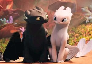 Toothless and Light Fury Couple Keychain 🖤🤍