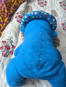 Blue Teddy Bear