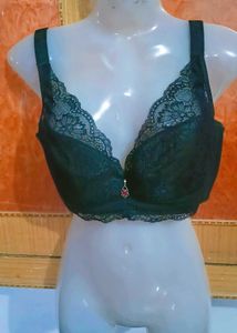Elegant Black Light Padded Lace Bra