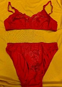 Lace Net Sexy Lingerie Set New With Tag