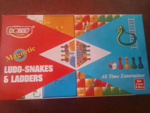 Magnetic Ludo-Snakes And Ladders