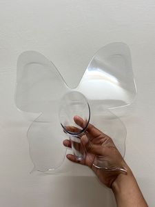 Butterfly Acrylic Vase