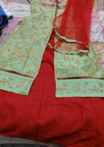 Gorgeous Indian Salwar Kameez Suit