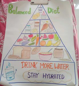 Balanced Diet Poster