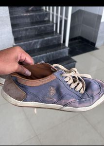 U.S. Polo Assn. Blue Canvas Shoes