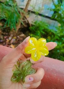 (COMBO) Flower Hair Claw Clips