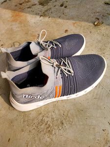 Men Shoes 9 No. With Box