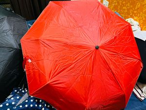 Umbrella ☔️ New With Tag