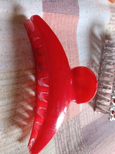 4  Fashionable Hair Clips