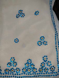 Elegant Embellished Saree