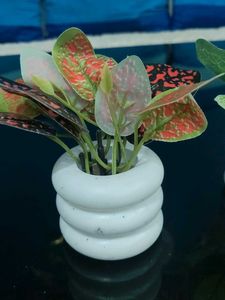 Artificial Plants Decor