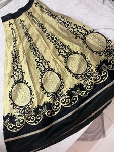 Elegant Ethnic Skirt