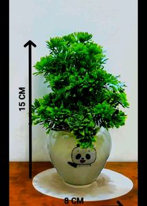 Cute ♥️😜 Artificial Pots Of 3 Pieces