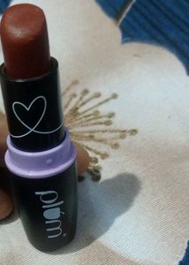 Plum  lipstick 💄 Rust color