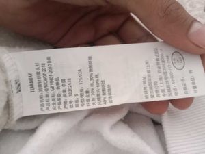 Imported Hollister Hoodie