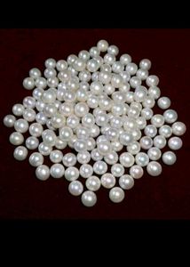 Premium Quality 50+ White Peals