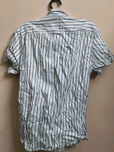 Striped Short Sleeve Button-Down
