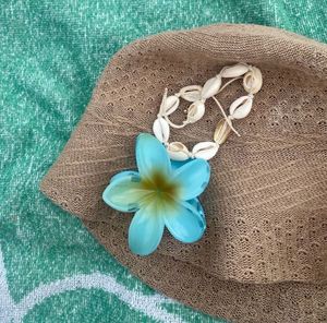 Hair Claw Clip (SET OF 6)