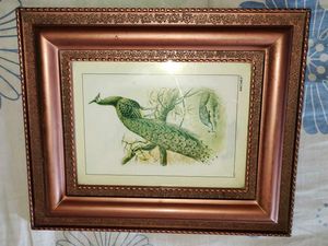Framed Peacock Print🎉🎊🎊