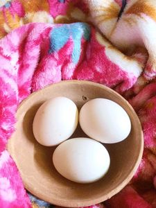 Original Desi Murgi eggs 🥚