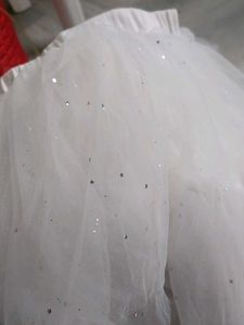 Tulle Princess Skirt