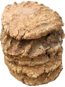 Homemade COW DUNG 30Pic