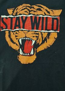 Men&#39;s Tshirt Combo Of 2