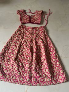 Pink Embroidered Lehenga Choli