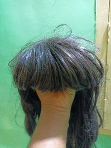 Full Hed Wig