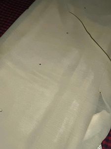 Elegant Beige Net Dupatta