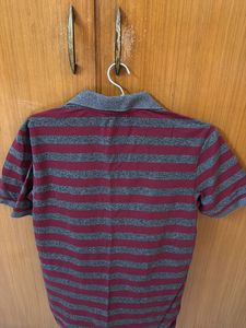 Brandnew Byford Tshirt For Men By Pantaloons