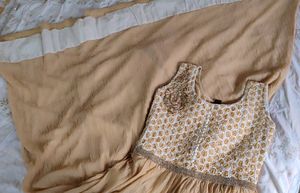 Elegant Ethnic Gown