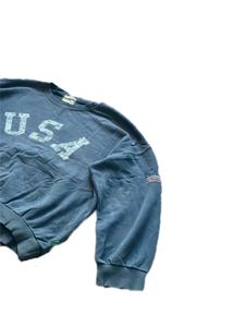 USA Graphic Sweatshirt