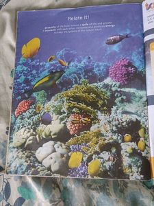 WOW! Science - Grade 4 Textbook